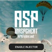 ASP Cheat Injector PUBG