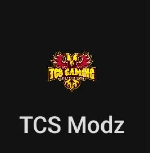 GG TCS Modz