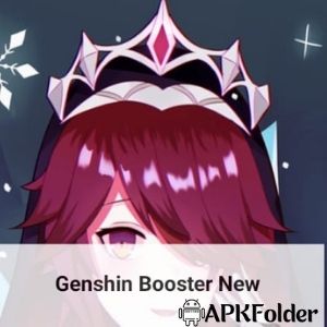 Genshin Impact Booster