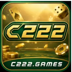 C222 Game
