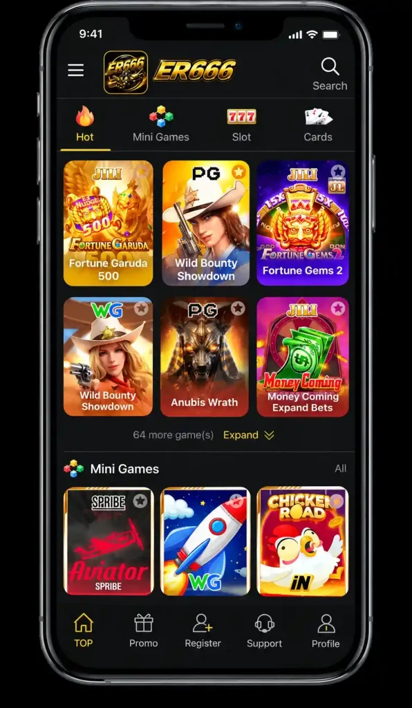 ER666 Game