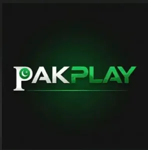 PlayPak Game