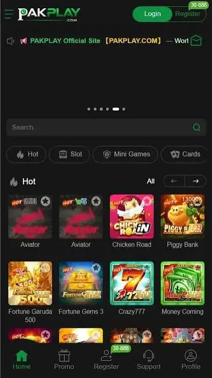 PlayPak Game